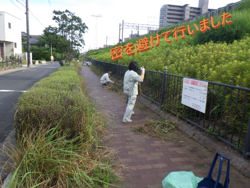 環境デーなごや パートナーシップ事業として掲載されました 大増コンサルタンツ